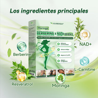 Parche Avanzado de Nanomicroagujas 10 en 1