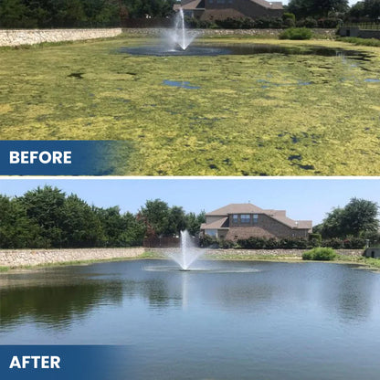 🌟 Official Store |✨ From Murky Swamp to Perfect Pond! | 3-in-1 Green Water Fix